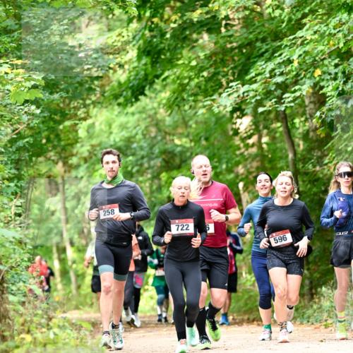 11.10.2026 - Bramfelder Halbmarathon 2026 Dr. Thomas Lammeyer http://msf.ph/oto/10831815 11.10.2026 11:17:19 Laufen 258, 722, 5, 596 meine-sportfotos.de