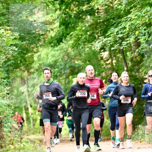 11.10.2026 - Bramfelder Halbmarathon 2026 Dr. Thomas Lammeyer http://msf.ph/oto/10831817 11.10.2026 11:17:19 Laufen 258, 722, 136, 596 meine-sportfotos.de