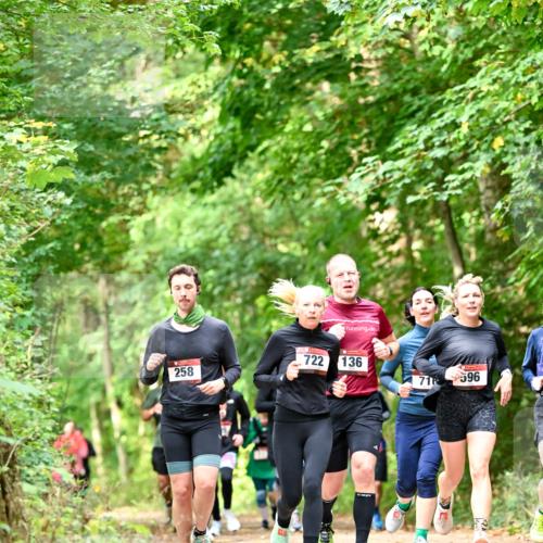 11.10.2026 - Bramfelder Halbmarathon 2026 Dr. Thomas Lammeyer http://msf.ph/oto/10831819 11.10.2026 11:17:19 Laufen 722, 136, 258, 71, 596 meine-sportfotos.de
