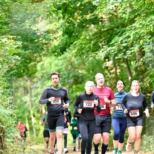 11.10.2026 - Bramfelder Halbmarathon 2026 Dr. Thomas Lammeyer http://msf.ph/oto/10831820 11.10.2026 11:17:19 Laufen 258, 722, 36, 71, 596 meine-sportfotos.de