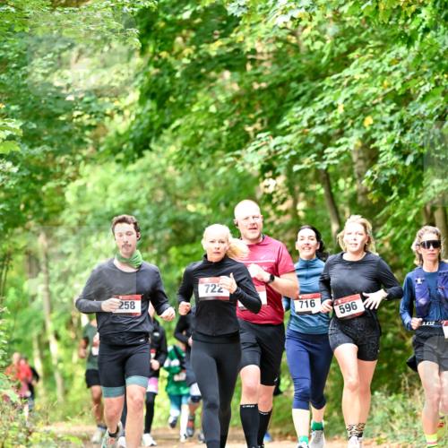 11.10.2026 - Bramfelder Halbmarathon 2026 Dr. Thomas Lammeyer http://msf.ph/oto/10831822 11.10.2026 11:17:19 Laufen 258, 722, 716, 596 meine-sportfotos.de