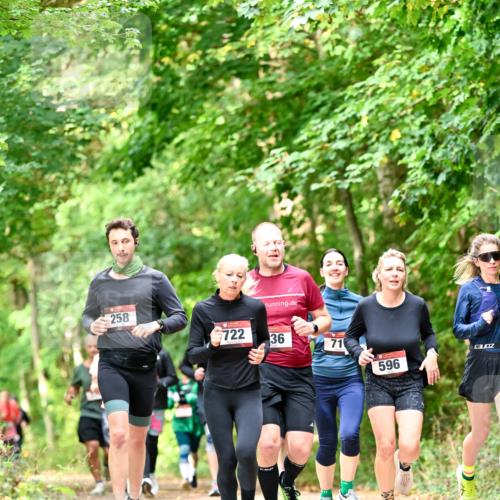 11.10.2026 - Bramfelder Halbmarathon 2026 Dr. Thomas Lammeyer http://msf.ph/oto/10831824 11.10.2026 11:17:20 Laufen 258, 722, 36, 71, 596 meine-sportfotos.de