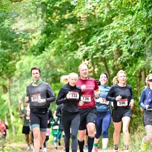 11.10.2026 - Bramfelder Halbmarathon 2026 Dr. Thomas Lammeyer http://msf.ph/oto/10831826 11.10.2026 11:17:20 Laufen 722, 258, 136, 710, 596 meine-sportfotos.de