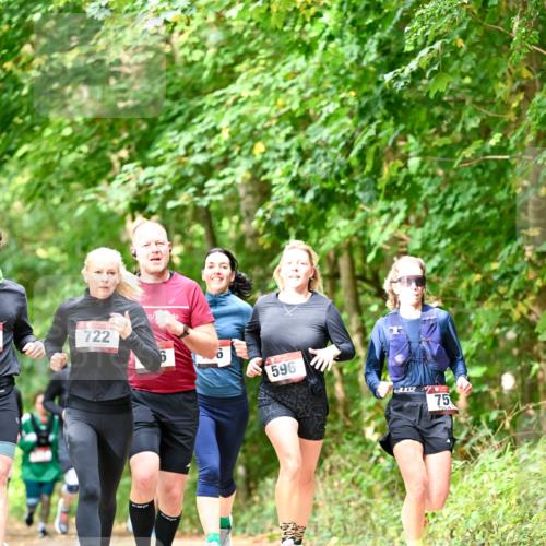 11.10.2026 - Bramfelder Halbmarathon 2026 Dr. Thomas Lammeyer http://msf.ph/oto/10831830 11.10.2026 11:17:20 Laufen 722, 596, 75 meine-sportfotos.de