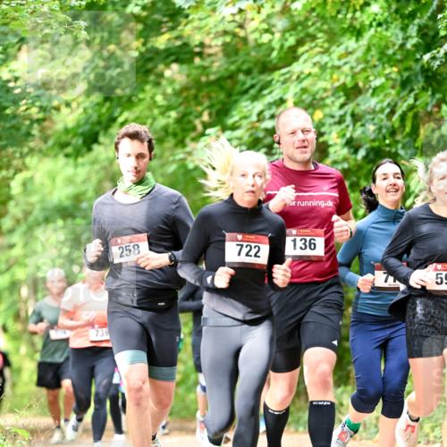 11.10.2026 - Bramfelder Halbmarathon 2026 Dr. Thomas Lammeyer http://msf.ph/oto/10831842 11.10.2026 11:17:21 Laufen 739, 258, 136, 722, 5, 59 meine-sportfotos.de