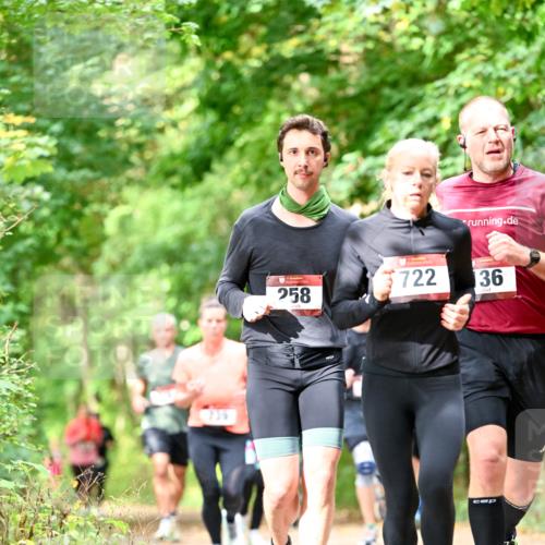 11.10.2026 - Bramfelder Halbmarathon 2026 Dr. Thomas Lammeyer http://msf.ph/oto/10831847 11.10.2026 11:17:22 Laufen 258, 3722, 36 meine-sportfotos.de