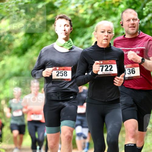 11.10.2026 - Bramfelder Halbmarathon 2026 Dr. Thomas Lammeyer http://msf.ph/oto/10831856 11.10.2026 11:17:23 Laufen 258, 35, 722, 136 meine-sportfotos.de