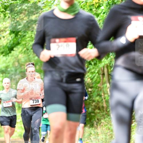 11.10.2026 - Bramfelder Halbmarathon 2026 Dr. Thomas Lammeyer http://msf.ph/oto/10831866 11.10.2026 11:17:23 Laufen 776, 739, 258 meine-sportfotos.de
