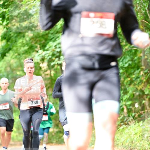 11.10.2026 - Bramfelder Halbmarathon 2026 Dr. Thomas Lammeyer http://msf.ph/oto/10831872 11.10.2026 11:17:24 Laufen 739, 298 meine-sportfotos.de