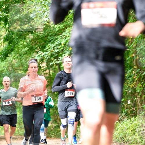11.10.2026 - Bramfelder Halbmarathon 2026 Dr. Thomas Lammeyer http://msf.ph/oto/10831874 11.10.2026 11:17:24 Laufen 776, 239, 739 meine-sportfotos.de