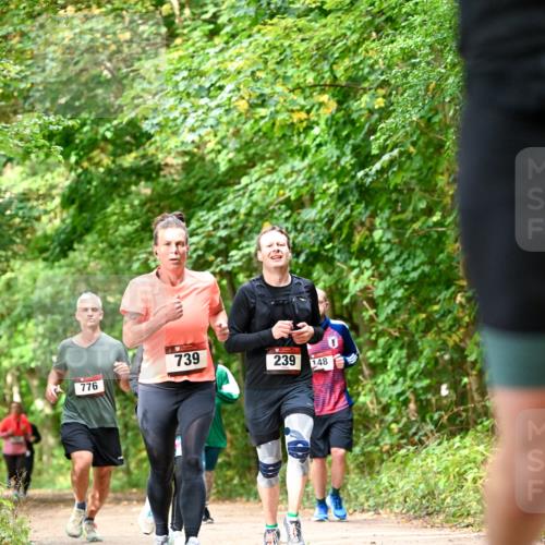 11.10.2026 - Bramfelder Halbmarathon 2026 Dr. Thomas Lammeyer http://msf.ph/oto/10831880 11.10.2026 11:17:25 Laufen 739, 239, 148, 776 meine-sportfotos.de