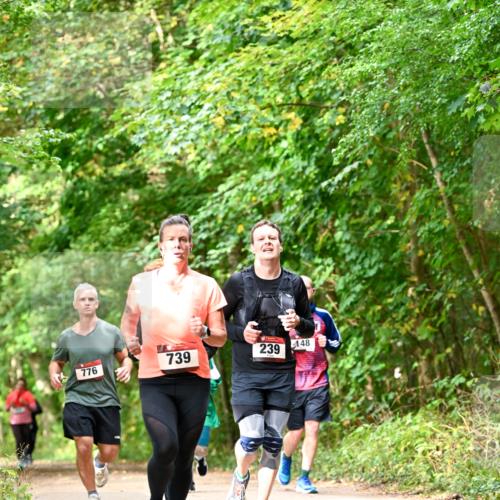 11.10.2026 - Bramfelder Halbmarathon 2026 Dr. Thomas Lammeyer http://msf.ph/oto/10831883 11.10.2026 11:17:25 Laufen 776, 739, 239, 148 meine-sportfotos.de