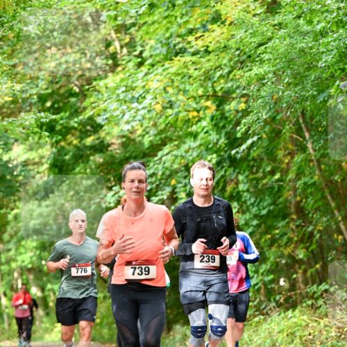 11.10.2026 - Bramfelder Halbmarathon 2026 Dr. Thomas Lammeyer http://msf.ph/oto/10831885 11.10.2026 11:17:25 Laufen 239, 48, 776, 739 meine-sportfotos.de
