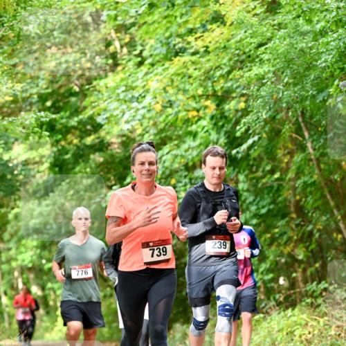 11.10.2026 - Bramfelder Halbmarathon 2026 Dr. Thomas Lammeyer http://msf.ph/oto/10831887 11.10.2026 11:17:25 Laufen 776, 739, 239 meine-sportfotos.de