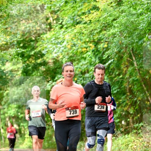 11.10.2026 - Bramfelder Halbmarathon 2026 Dr. Thomas Lammeyer http://msf.ph/oto/10831889 11.10.2026 11:17:26 Laufen 776, 739, 239 meine-sportfotos.de