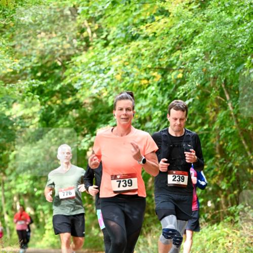 11.10.2026 - Bramfelder Halbmarathon 2026 Dr. Thomas Lammeyer http://msf.ph/oto/10831891 11.10.2026 11:17:26 Laufen 776, 739, 239 meine-sportfotos.de