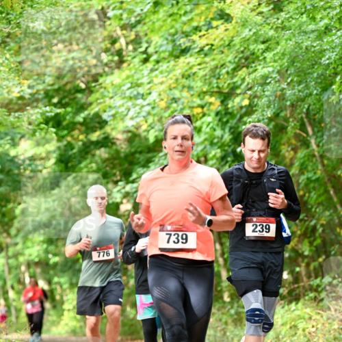 11.10.2026 - Bramfelder Halbmarathon 2026 Dr. Thomas Lammeyer http://msf.ph/oto/10831893 11.10.2026 11:17:26 Laufen 776, 739, 239 meine-sportfotos.de