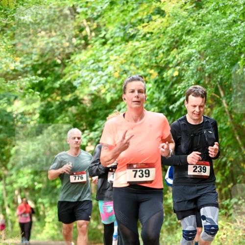 11.10.2026 - Bramfelder Halbmarathon 2026 Dr. Thomas Lammeyer http://msf.ph/oto/10831896 11.10.2026 11:17:26 Laufen 776, 739, 239 meine-sportfotos.de