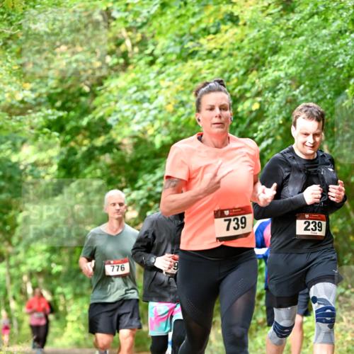11.10.2026 - Bramfelder Halbmarathon 2026 Dr. Thomas Lammeyer http://msf.ph/oto/10831897 11.10.2026 11:17:26 Laufen 776, 739, 239 meine-sportfotos.de