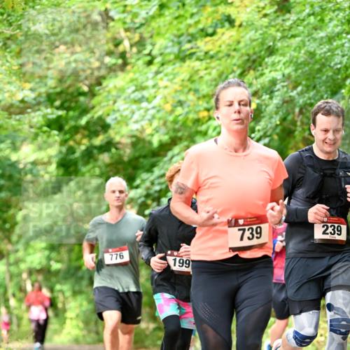 11.10.2026 - Bramfelder Halbmarathon 2026 Dr. Thomas Lammeyer http://msf.ph/oto/10831899 11.10.2026 11:17:26 Laufen 776, 199, 739, 239 meine-sportfotos.de