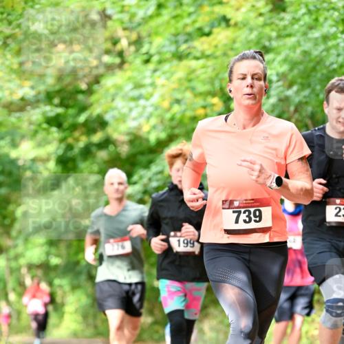 11.10.2026 - Bramfelder Halbmarathon 2026 Dr. Thomas Lammeyer http://msf.ph/oto/10831901 11.10.2026 11:17:26 Laufen 199, 739, 23 meine-sportfotos.de