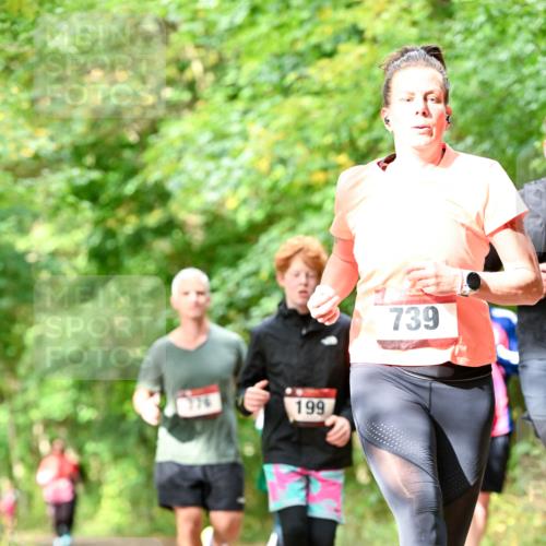 11.10.2026 - Bramfelder Halbmarathon 2026 Dr. Thomas Lammeyer http://msf.ph/oto/10831903 11.10.2026 11:17:27 Laufen 776, 199, 739 meine-sportfotos.de