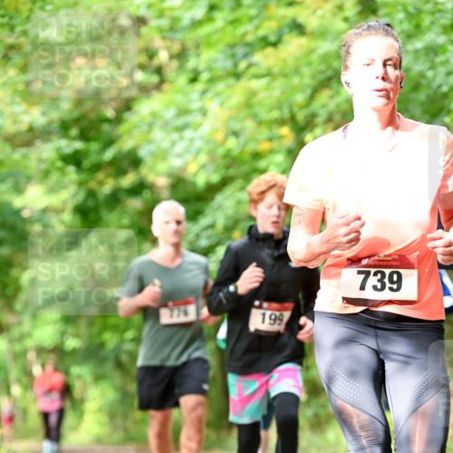 11.10.2026 - Bramfelder Halbmarathon 2026 Dr. Thomas Lammeyer http://msf.ph/oto/10831905 11.10.2026 11:17:27 Laufen 776, 199, 739 meine-sportfotos.de
