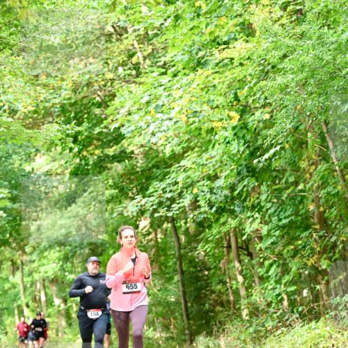 11.10.2026 - Bramfelder Halbmarathon 2026 Dr. Thomas Lammeyer http://msf.ph/oto/10831949 11.10.2026 11:17:33 Laufen 158, 655 meine-sportfotos.de