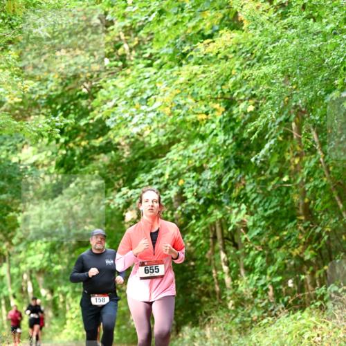 11.10.2026 - Bramfelder Halbmarathon 2026 Dr. Thomas Lammeyer http://msf.ph/oto/10831968 11.10.2026 11:17:34 Laufen 158, 655 meine-sportfotos.de