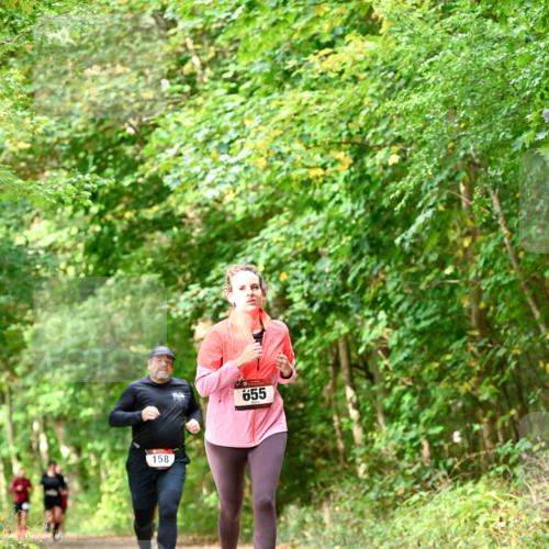 11.10.2026 - Bramfelder Halbmarathon 2026 Dr. Thomas Lammeyer http://msf.ph/oto/10831970 11.10.2026 11:17:35 Laufen 158, 655 meine-sportfotos.de