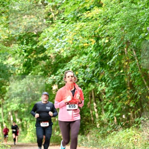 11.10.2026 - Bramfelder Halbmarathon 2026 Dr. Thomas Lammeyer http://msf.ph/oto/10831972 11.10.2026 11:17:35 Laufen 158, 655 meine-sportfotos.de