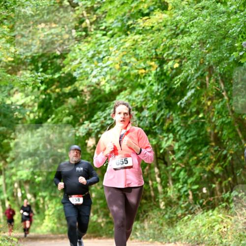 11.10.2026 - Bramfelder Halbmarathon 2026 Dr. Thomas Lammeyer http://msf.ph/oto/10831976 11.10.2026 11:17:35 Laufen 158, 655 meine-sportfotos.de