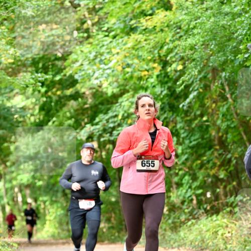 11.10.2026 - Bramfelder Halbmarathon 2026 Dr. Thomas Lammeyer http://msf.ph/oto/10831982 11.10.2026 11:17:35 Laufen 58, 655 meine-sportfotos.de