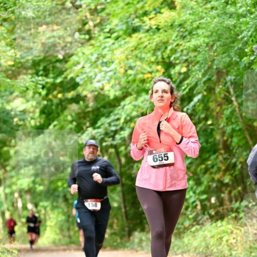 11.10.2026 - Bramfelder Halbmarathon 2026 Dr. Thomas Lammeyer http://msf.ph/oto/10831986 11.10.2026 11:17:36 Laufen 158, 655 meine-sportfotos.de