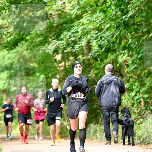 11.10.2026 - Bramfelder Halbmarathon 2026 Dr. Thomas Lammeyer http://msf.ph/oto/10832025 11.10.2026 11:17:45 Laufen 44, 614 meine-sportfotos.de