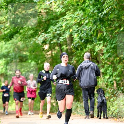 11.10.2026 - Bramfelder Halbmarathon 2026 Dr. Thomas Lammeyer http://msf.ph/oto/10832027 11.10.2026 11:17:45 Laufen 514 meine-sportfotos.de