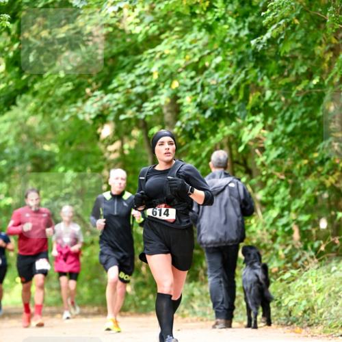 11.10.2026 - Bramfelder Halbmarathon 2026 Dr. Thomas Lammeyer http://msf.ph/oto/10832030 11.10.2026 11:17:45 Laufen 614 meine-sportfotos.de