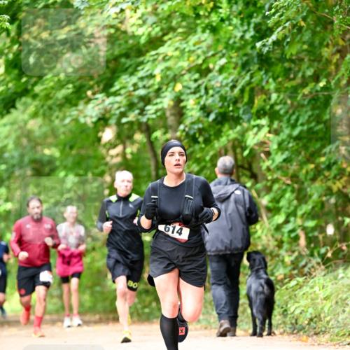 11.10.2026 - Bramfelder Halbmarathon 2026 Dr. Thomas Lammeyer http://msf.ph/oto/10832032 11.10.2026 11:17:46 Laufen 614 meine-sportfotos.de