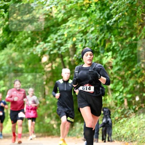 11.10.2026 - Bramfelder Halbmarathon 2026 Dr. Thomas Lammeyer http://msf.ph/oto/10832040 11.10.2026 11:17:46 Laufen 614 meine-sportfotos.de
