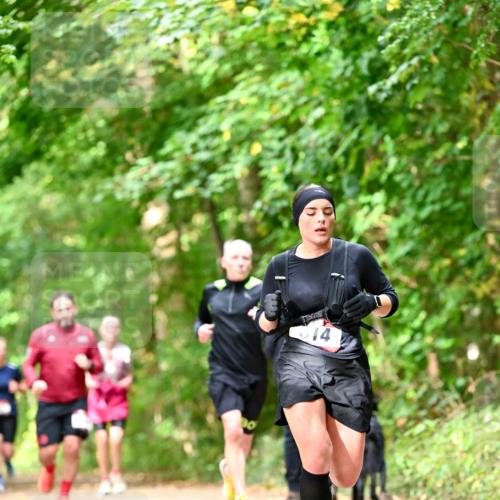 11.10.2026 - Bramfelder Halbmarathon 2026 Dr. Thomas Lammeyer http://msf.ph/oto/10832042 11.10.2026 11:17:46 Laufen  meine-sportfotos.de