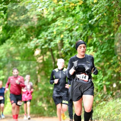 11.10.2026 - Bramfelder Halbmarathon 2026 Dr. Thomas Lammeyer http://msf.ph/oto/10832044 11.10.2026 11:17:46 Laufen 14 meine-sportfotos.de