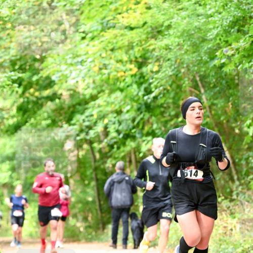 11.10.2026 - Bramfelder Halbmarathon 2026 Dr. Thomas Lammeyer http://msf.ph/oto/10832052 11.10.2026 11:17:47 Laufen 4614 meine-sportfotos.de