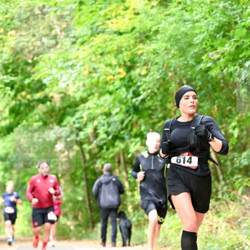 11.10.2026 - Bramfelder Halbmarathon 2026 Dr. Thomas Lammeyer http://msf.ph/oto/10832054 11.10.2026 11:17:47 Laufen 614 meine-sportfotos.de