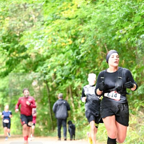 11.10.2026 - Bramfelder Halbmarathon 2026 Dr. Thomas Lammeyer http://msf.ph/oto/10832056 11.10.2026 11:17:48 Laufen 614 meine-sportfotos.de