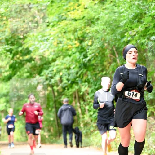 11.10.2026 - Bramfelder Halbmarathon 2026 Dr. Thomas Lammeyer http://msf.ph/oto/10832058 11.10.2026 11:17:48 Laufen 614 meine-sportfotos.de