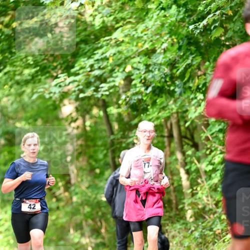 11.10.2026 - Bramfelder Halbmarathon 2026 Dr. Thomas Lammeyer http://msf.ph/oto/10832073 11.10.2026 11:17:51 Laufen 42, 77 meine-sportfotos.de