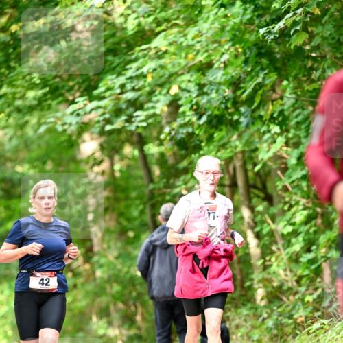 11.10.2026 - Bramfelder Halbmarathon 2026 Dr. Thomas Lammeyer http://msf.ph/oto/10832075 11.10.2026 11:17:51 Laufen 42 meine-sportfotos.de