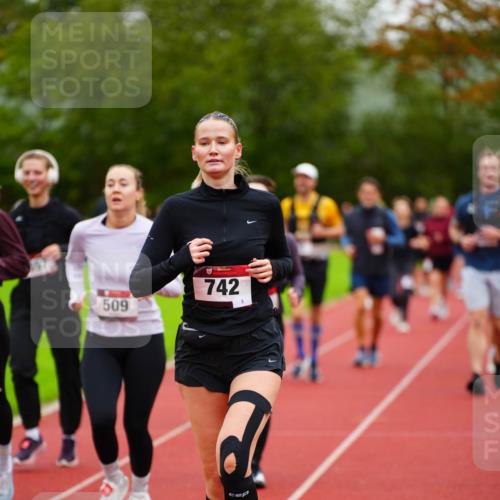 11.10.2026 - Bramfelder Halbmarathon 2026 LAZAROV Photography http://msf.ph/oto/10838190 11.10.2026 09:36:34 Laufen 509, 742, 3 meine-sportfotos.de