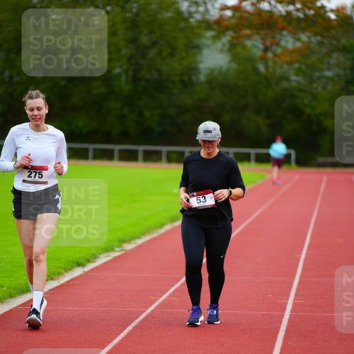 11.10.2026 - Bramfelder Halbmarathon 2026 LAZAROV Photography http://msf.ph/oto/10838441 11.10.2026 09:37:59 Laufen 275, 53 meine-sportfotos.de