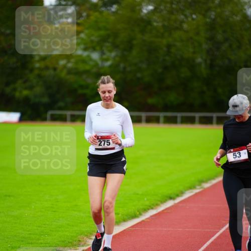 11.10.2026 - Bramfelder Halbmarathon 2026 LAZAROV Photography http://msf.ph/oto/10838447 11.10.2026 09:38:00 Laufen 275, 53 meine-sportfotos.de